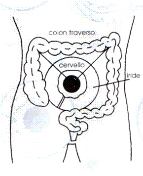 Iridología